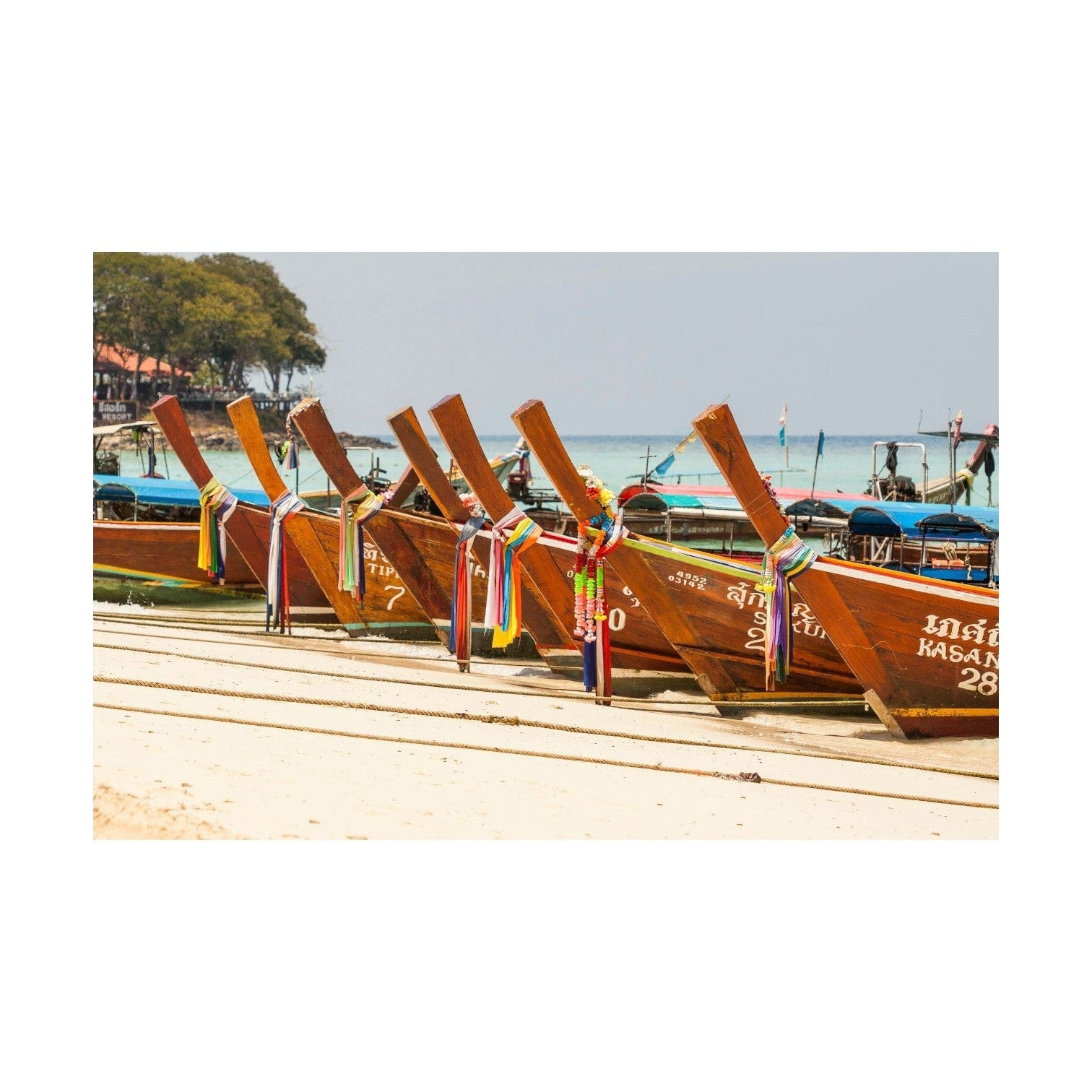 Tropical Island Getaway to Koh Samui, Thailand! Meet the Elephants, Snorkel and So Much More!