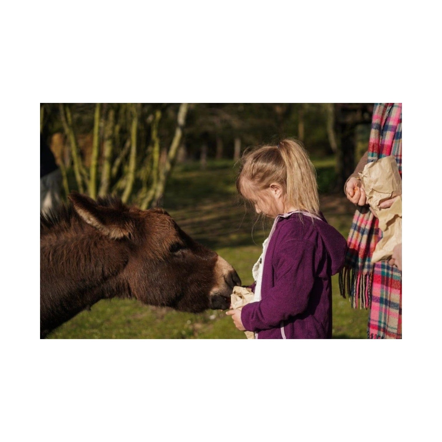 Your Own Private Micro Animals Bedtime Experience For Two - Kent