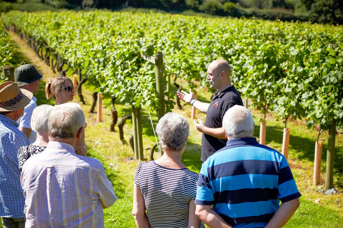Overnight Stay in A 4 Star Hotel Including Three Course Dinner And Breakfast Combined With A Vineyard Tour And Wine Tasting In Kent For Two People