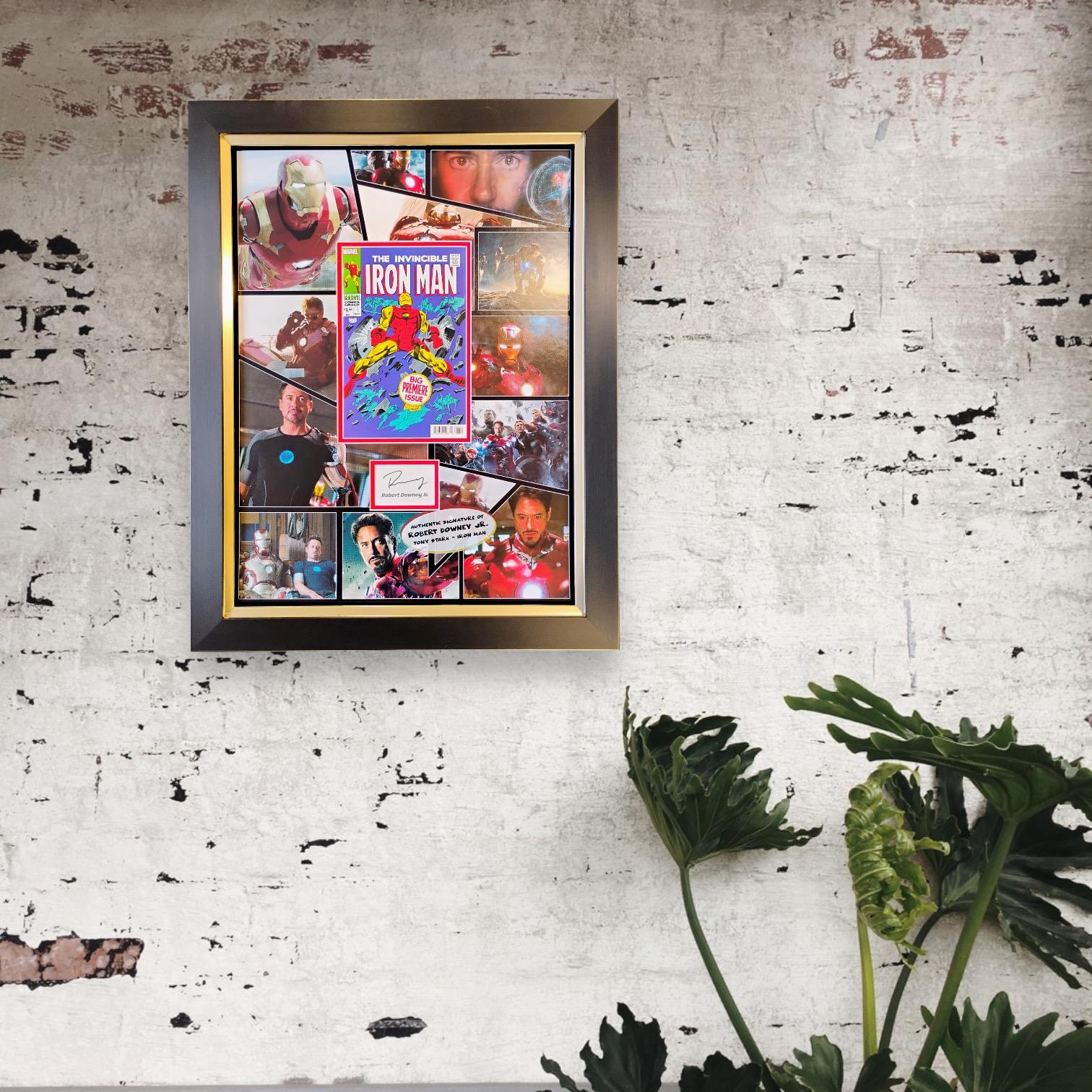 Robert Downey Jr Iron Man Display