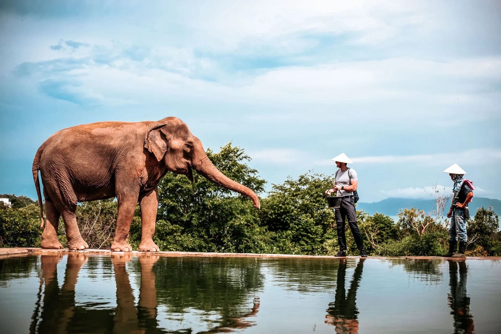 Tropical Island Getaway to Koh Samui, Thailand! Meet the Elephants, Snorkel and So Much More!