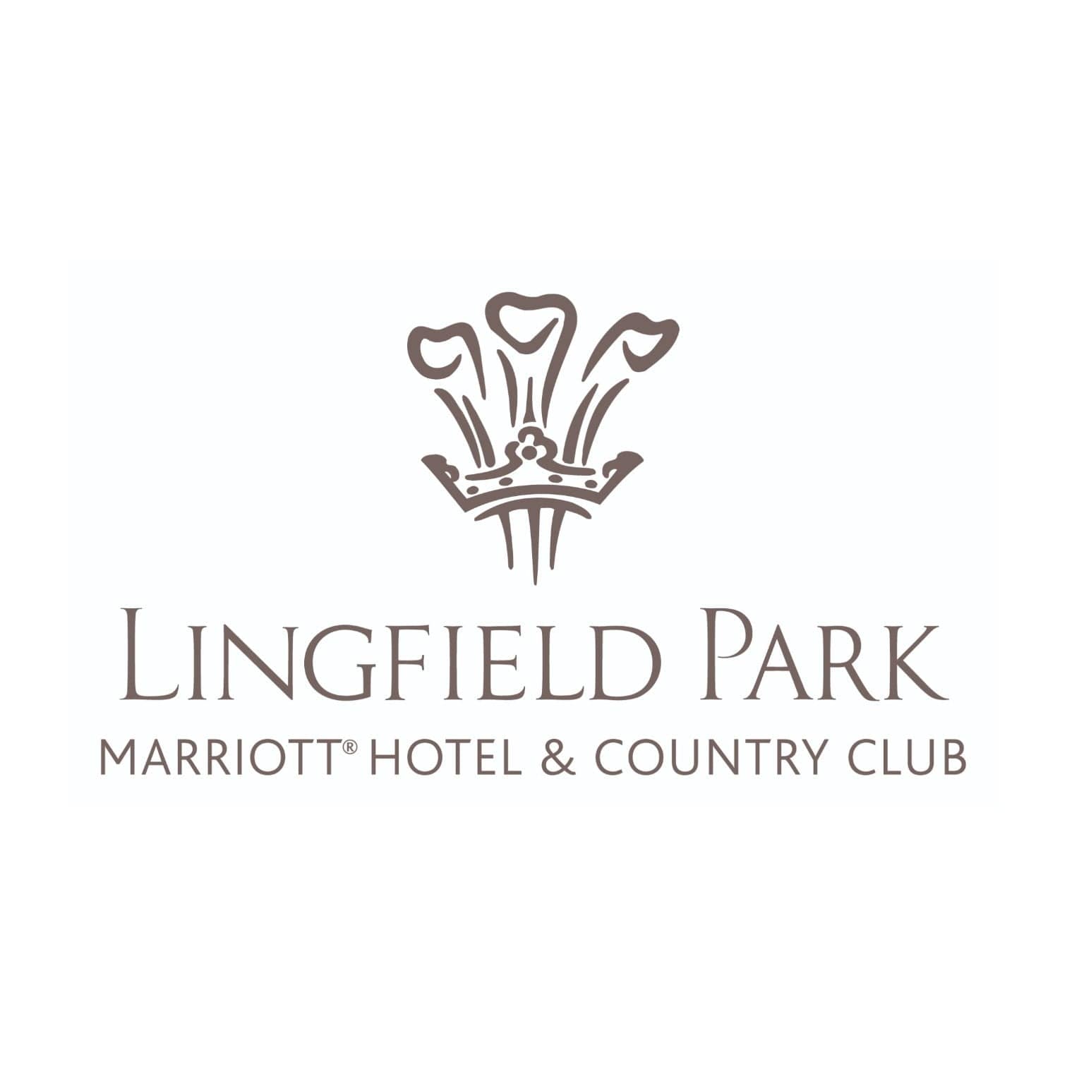 2x 4 Balls With An Overnight Stay At The Lingfield Park Marriott Hotel & Country Club (Dinner & Breakfast Included) For 4 People