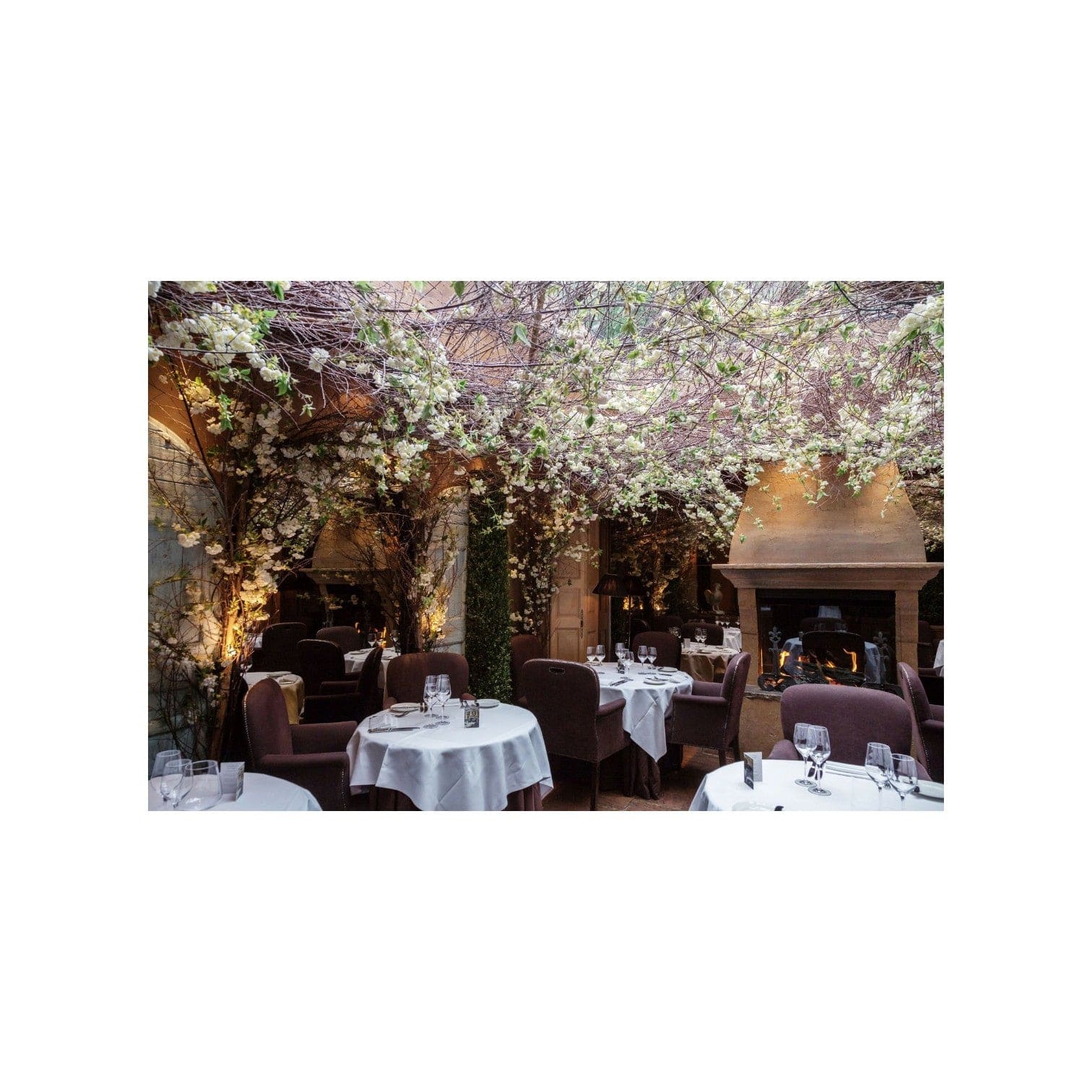 Exclusive Michelin Dining: Clos Maggiore 5-Course Experience with Wine Pairings & VIP Extras For 2 People