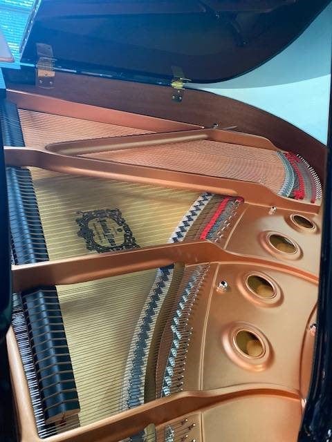 Yamaha Baby Grand Piano GC1