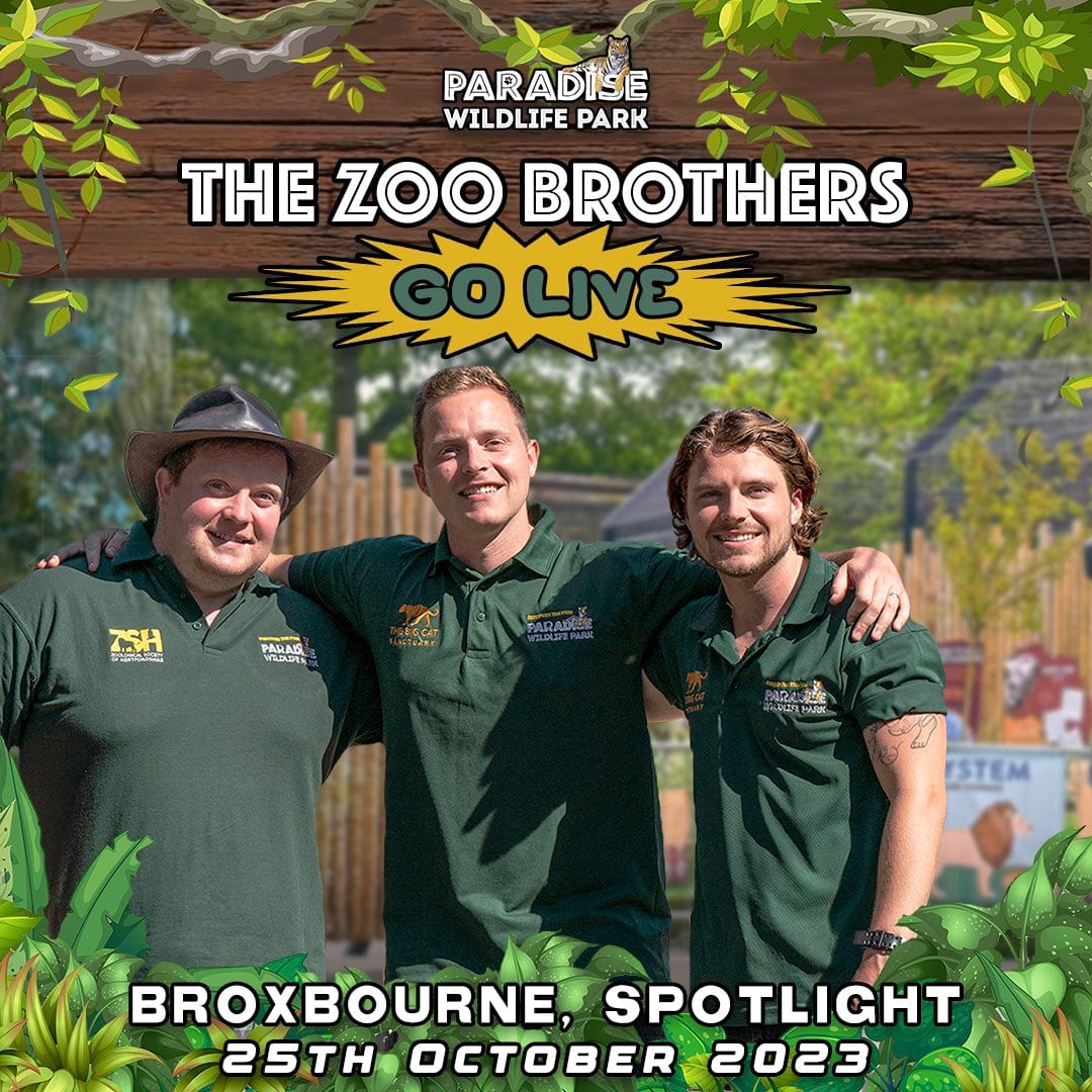 Zoo Brothers: Go Live