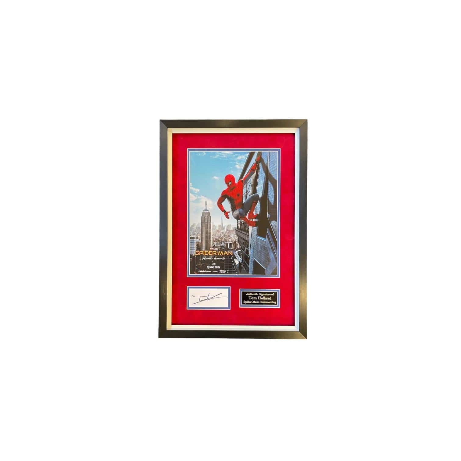 Tom Holland Signed Spiderman Display
