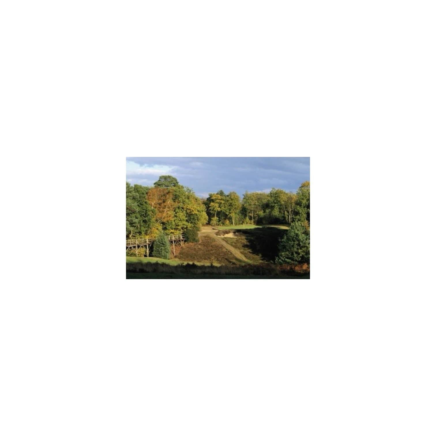 Fourball at the Addington Golf Club, Surrey