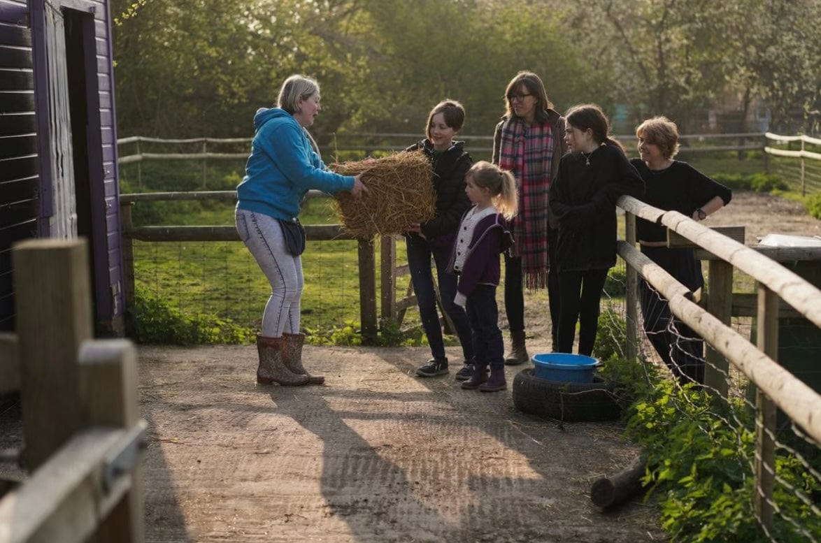 Your Own Private Micro Animals Bedtime Experience For Two - Kent