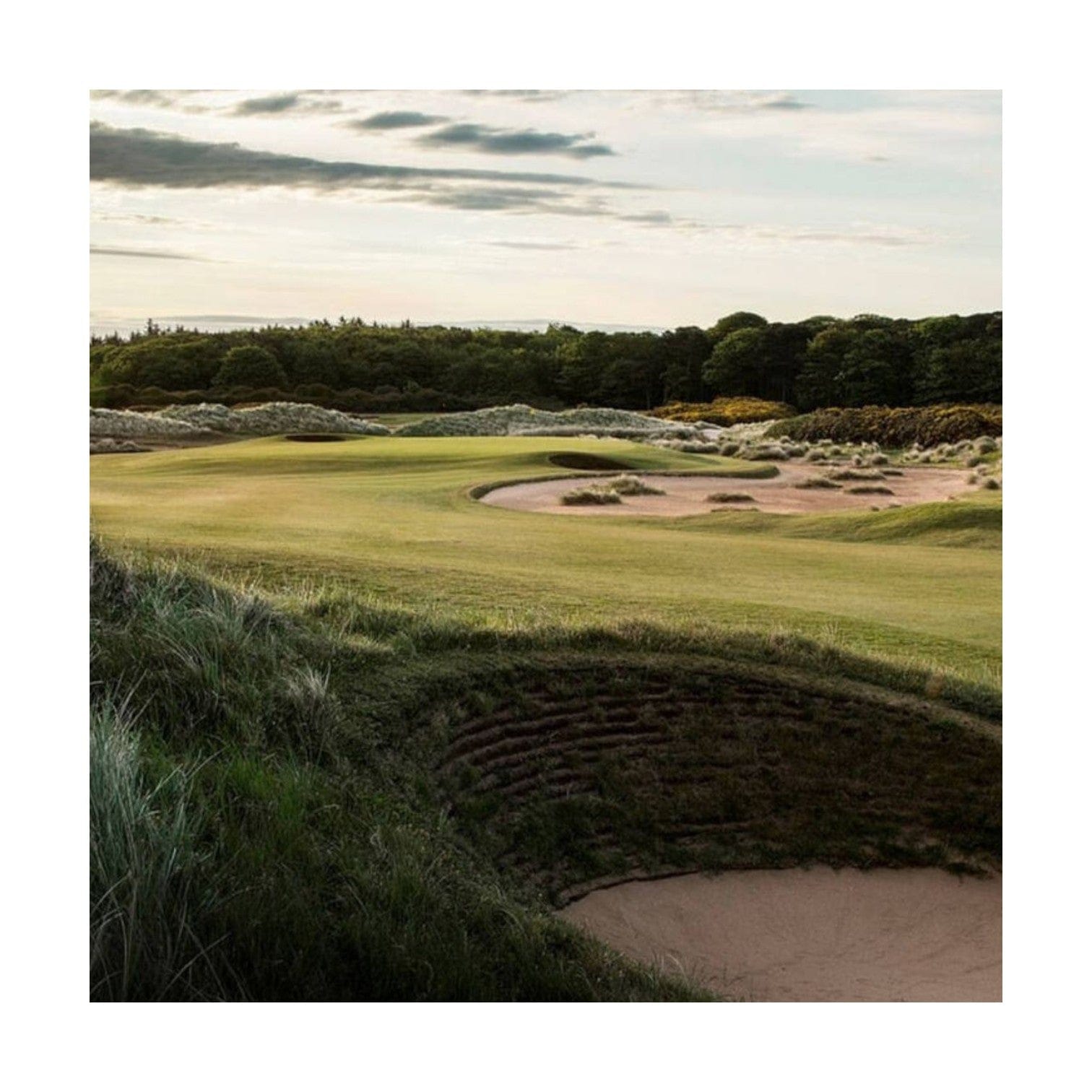 A Fourball At Archerfield Golf Links