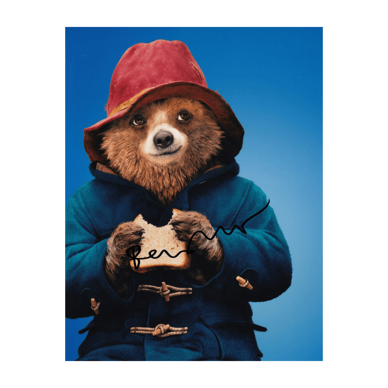 Ben Whishaw Hand Signed Paddington Photo