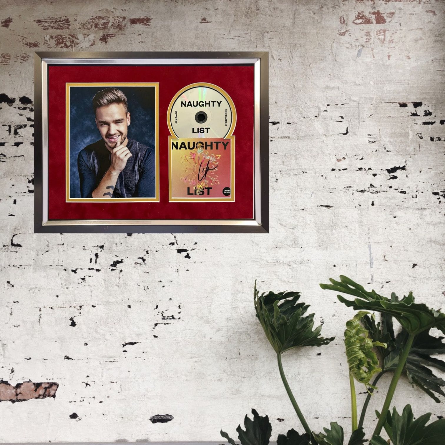 Liam Payne Signed CD Display