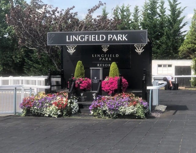 Experience Luxury at the Races For Up To 12 People [LR1]