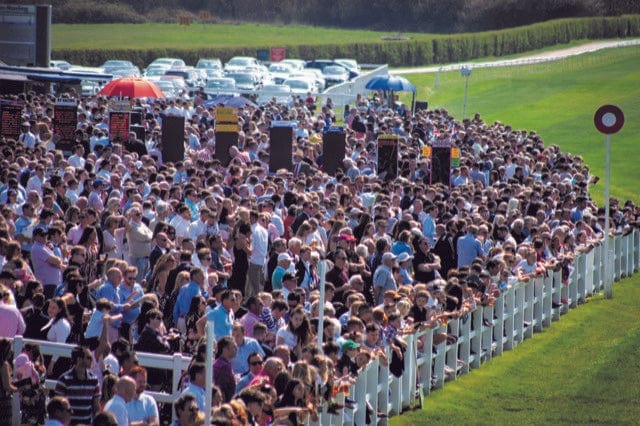 Experience Luxury at the Races For Up To 12 People [LR1]