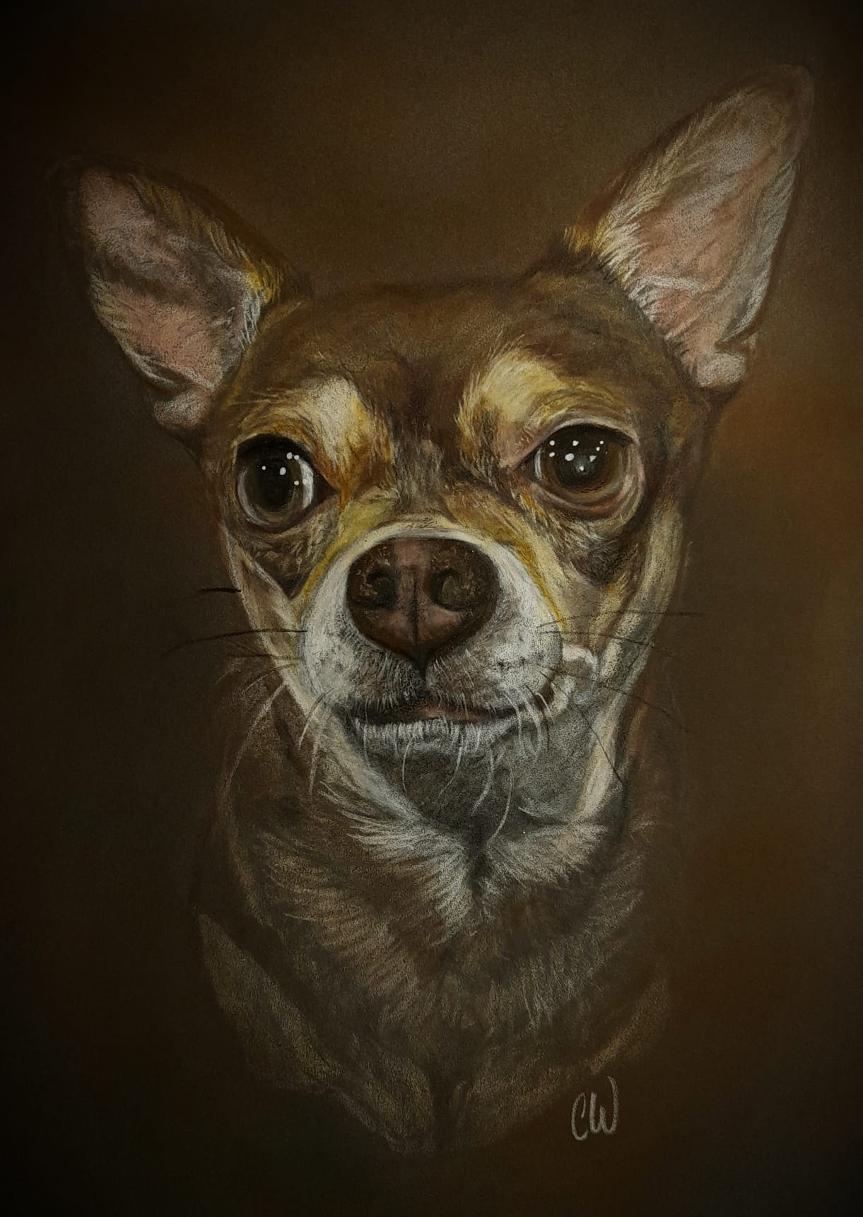 Your Pet Portrait