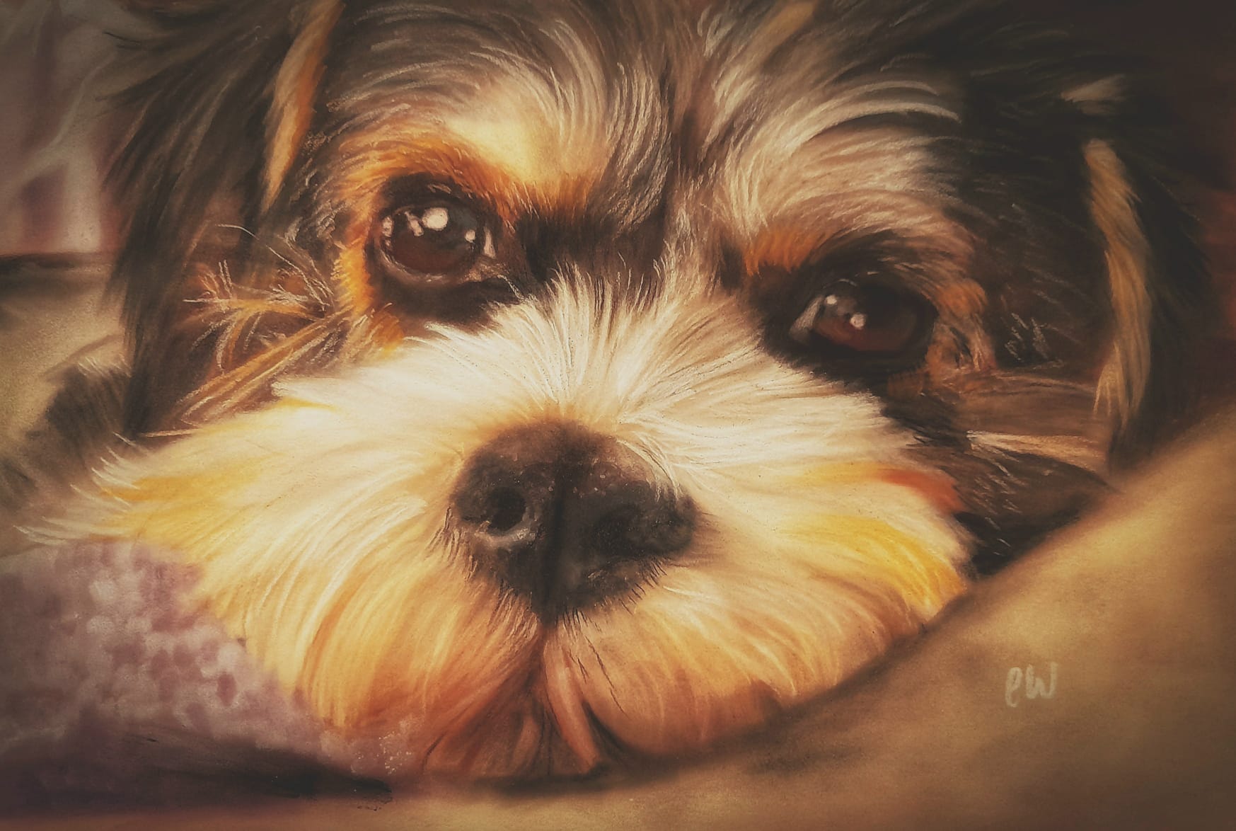 Your Pet Portrait