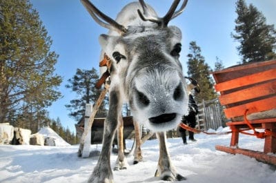 Lapland 3 Night Stay In A Glass Cabin For Two People
