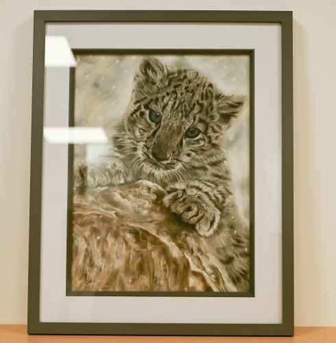 Snow Leopard Cub