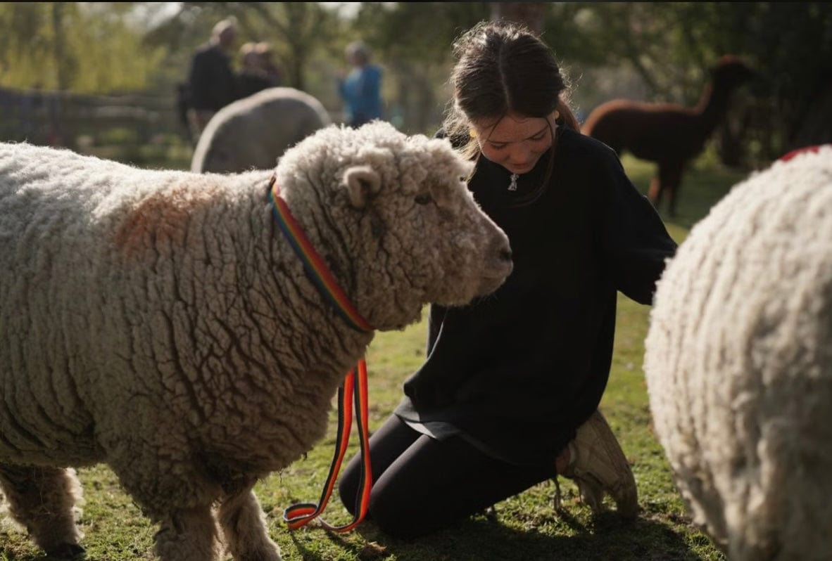 Your Own Private Micro Animals Bedtime Experience For Two - Kent