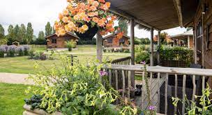 An Overnight Stay For 2 In A Safari Lodge At The Big Cat Sanctuary