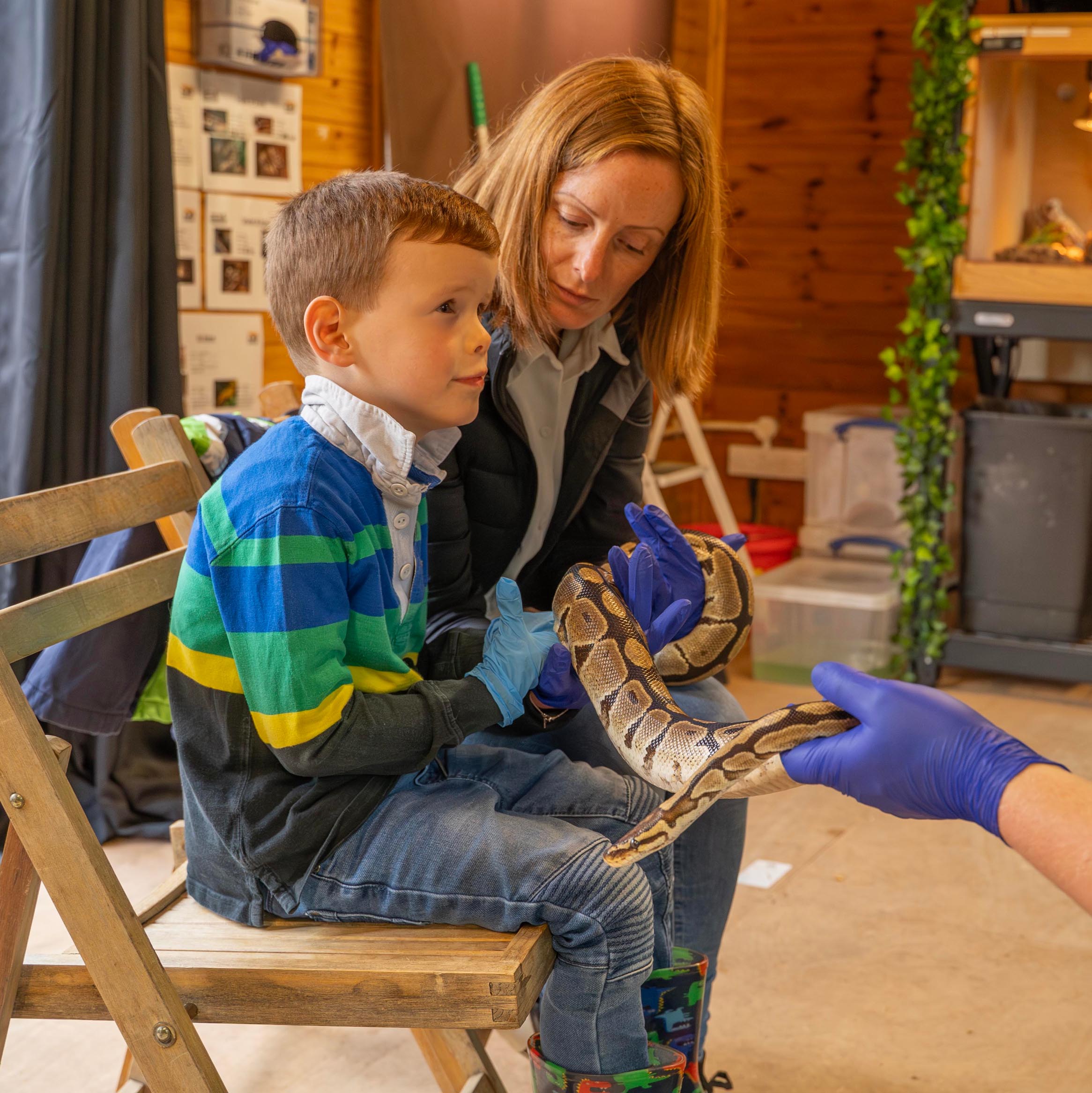 Mini or Junior Zookeeper family package at Hertfordshire Zoo