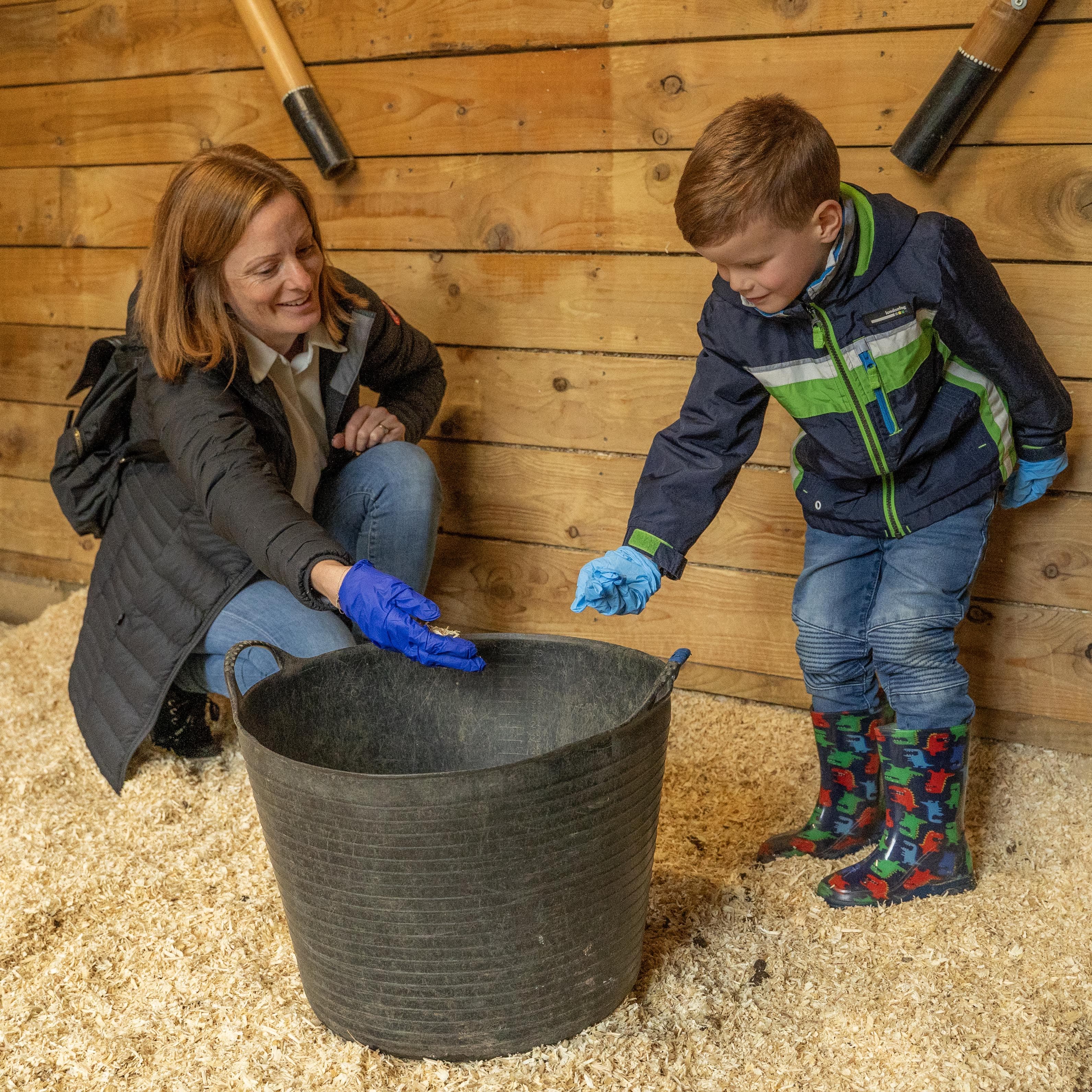Mini or Junior Zookeeper family package at Hertfordshire Zoo